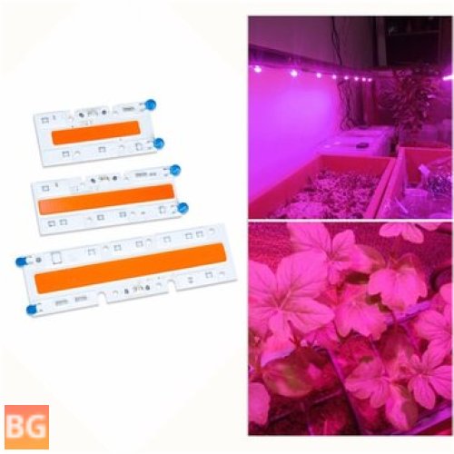 High Power LED Grow COB Light - Chip for Plants - 110V/220V