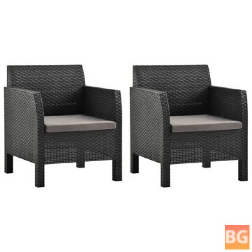 2 pcs Garden Chairs with Cushions