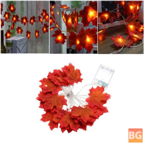 Warm White LED String Lights with 20 LEDs - for Parties