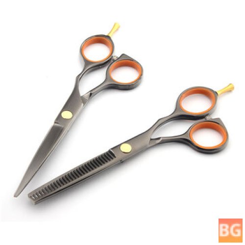 Hair Shears - Regular Teeth Blades - Stainless Steel
