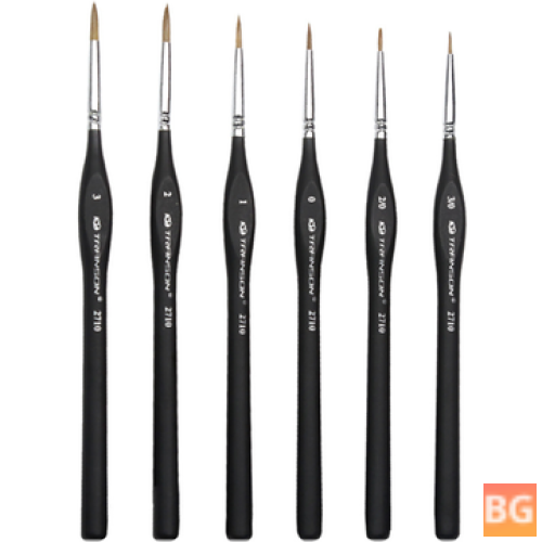 6PCS Set of Painting Brushes - Watercolor Paintings Drawing Pens