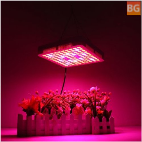 Grow Light with LED - 65W