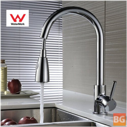 Chrome Kitchen Faucet with Dual Spray