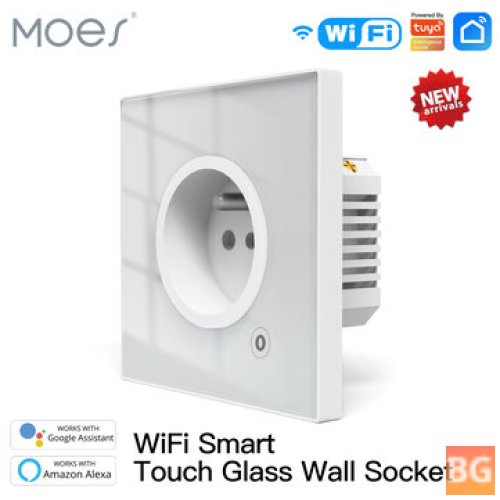 SmartPlug 16A with WiFi, Voice Control and App Monitoring