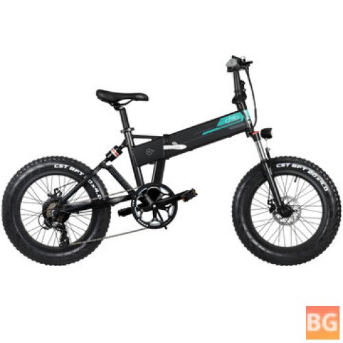 FIIDO M1 Pro 12.8Ah 48V 500W 20 Inches Electric Bike