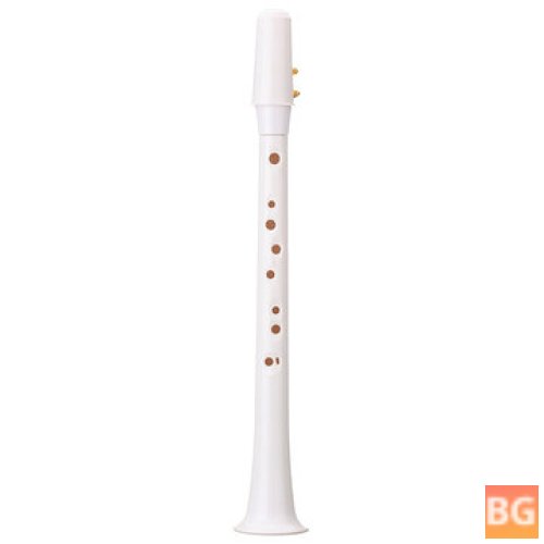 Mini Saxophone with Bag for Beginners