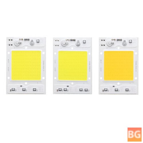 100lm Flood Light with Chip - White/Warm White