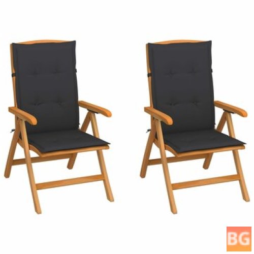 2 Pcs Garden Chairs with Anthracite Cushions