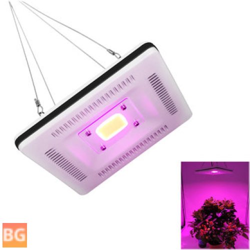 Grow Light - 50W COB LED - Square - Full Spectrum - Waterproof - IP64 - Flood Lamp - Plant - Indoor - Hydroponic - Greenhouse