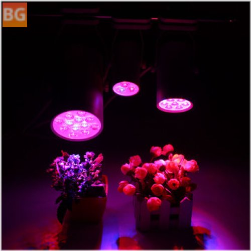 LED Grow Lamp - Flood Supplementary Light