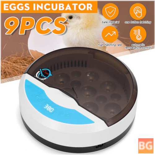 Automatic Egg Heater for Chicken - 9 Eggs