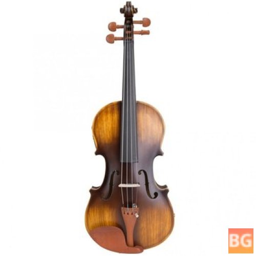AV-E310 Violin with Case - Matte