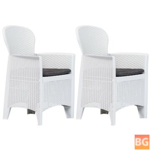 2 Pcs Garden Chairs with Cushion for Home