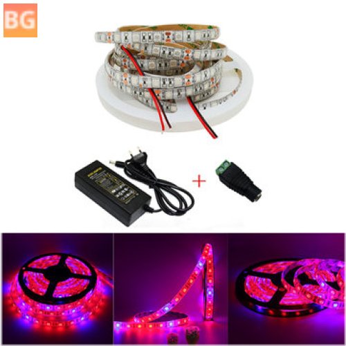 Waterproof Strip Light with Red and Blue Color - 5050 SMD 300Leds