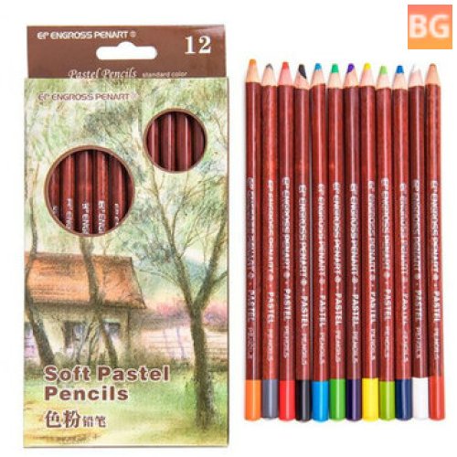 Bview 12-Color Charcoal Pastel Pencil Set