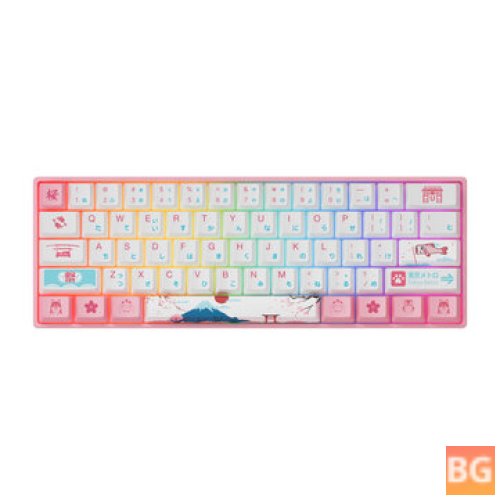 AKKO 3061S Tokyo R2 61-Key Hot Swappable RGB Mechanical Gaming Keyboard