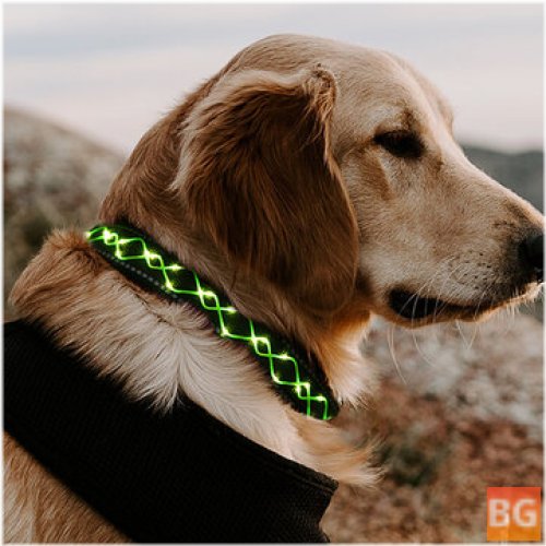 Dog Collar Light with Flashing Safety Feature