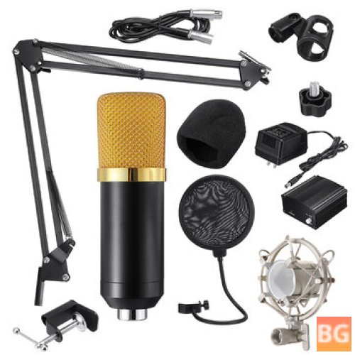 Microphone for Radio Broadcasting and Karaoke Recording - BM700