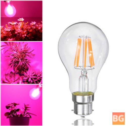 8W LED Grow Light Bulb for Plants