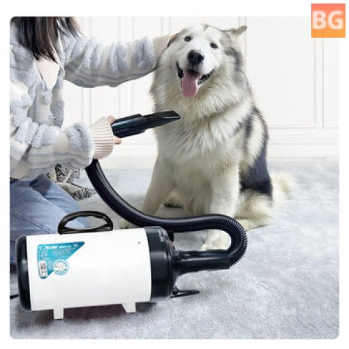 2200W Pet Blowing Machine for Dog and Cat Hair Drying