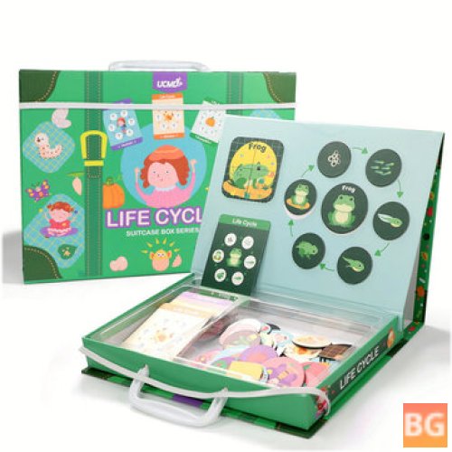 Magnetic Life Cycle Educational Puzzles