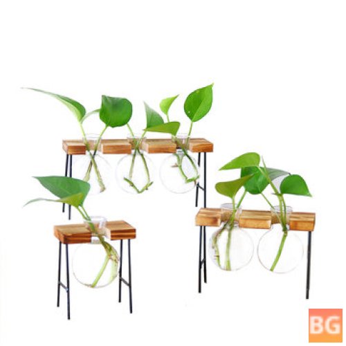 Glass Vase for hydroponic plants - Table Desk Decor