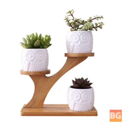 Owl Succulent Pot Set with Bamboo Stand
