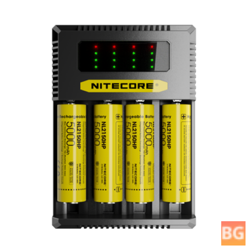 3000mAh Quick Charger for Ni-MH and Ni-Cd Batteries - RC Toys