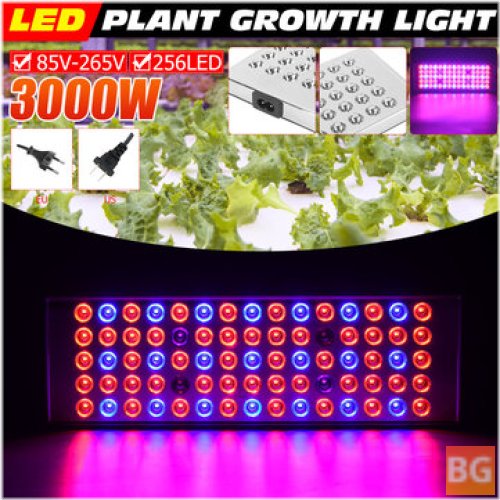 800W Full Spectrum LED Grow Light for Indoor Hydroponics Plant Growing