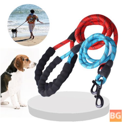 Durable Nylon Dog Harness Leash for Walking, Running, and Training