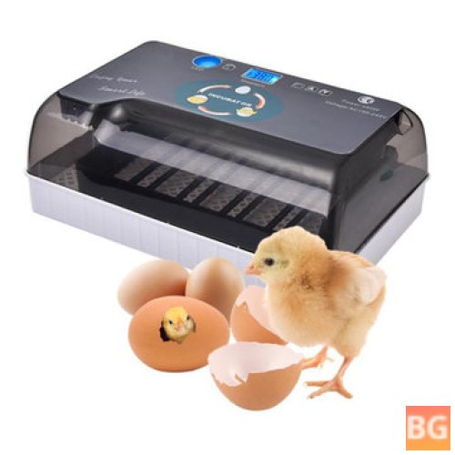 Digital Egg Incubator - Fully Automatic with 12 Positions