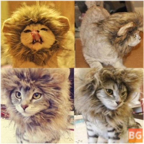 Wig for Cats - Lion Mane