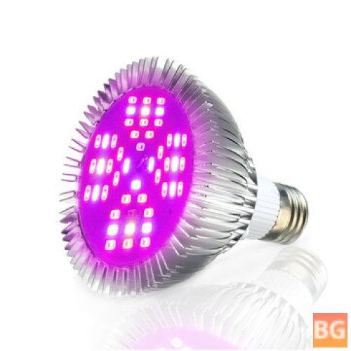 LED Grow Lamp with 1000 Lumens and 15W LED