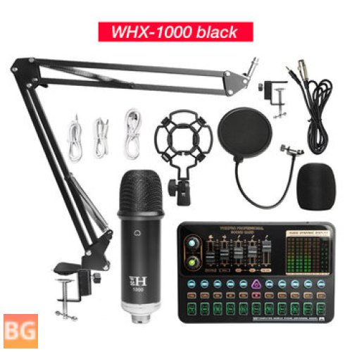 Microphone for Professional Audio Recording - V10XPRO