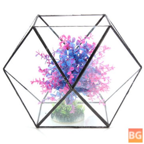 Greenhouse Glass Terrarium with Succulent Plants and Flower Pot