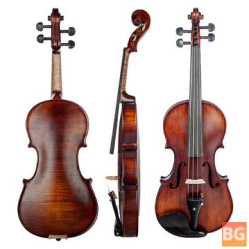 NAOMI Acoustic Violin 4/4 Solid Wood Violin Fiddle - Gloss Finish