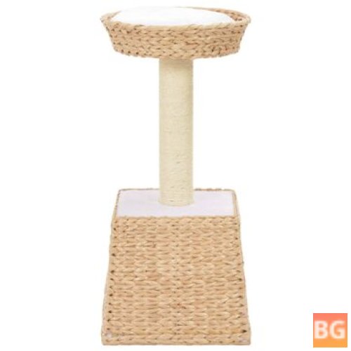 Sisal Scratch Post for Cat