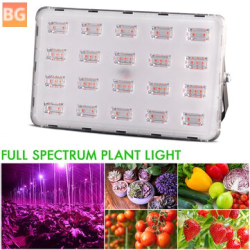 LED grow light - 100W - for indoor/outdoor plants