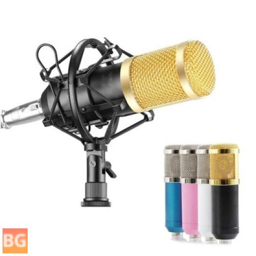 Microphone for Broadcasting Studio Recording - BM800