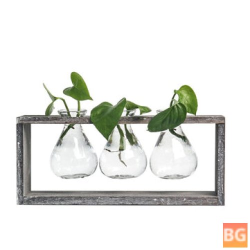 Wood and Glass Hydroponic Living Room Decoration - Flower Pot Plant Vase
