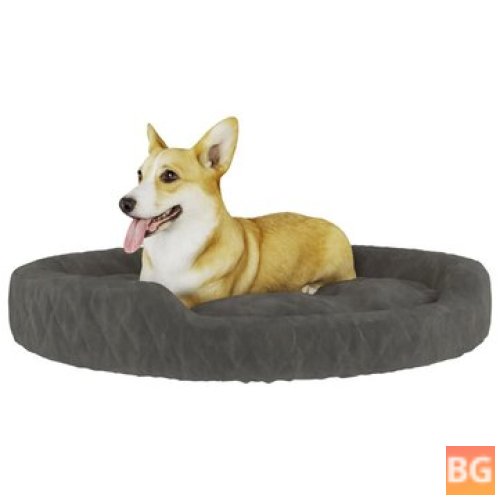 Dog Bed with Mattress and Blanket