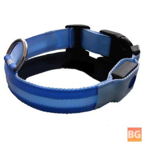 LED Dog Collar with Night Safety Feature