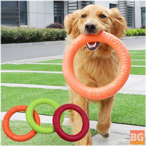 Puppy Flying Discs for Dog Training - Resistant Bite Floating Toy