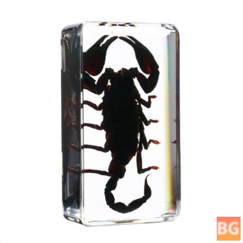 Black Longhorn Beetle Spider Craft Toy - Clear Acrylic