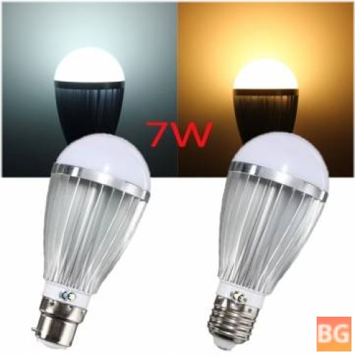 5730 LED Globe Bulb - Warm White/White