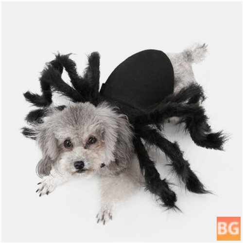 Halloween Costume for Cats and Dogs - Spider Clothes