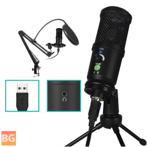 BM-66 Professional Condenser Microphone for Recording and Broadcasting