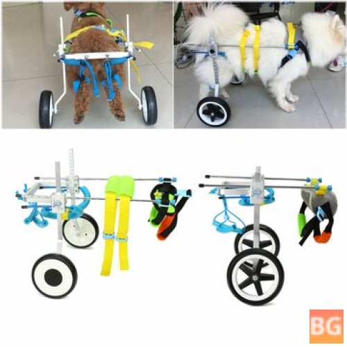 Small Cat Scooter for Disabled Pets - Wheelchair for Handicapped People