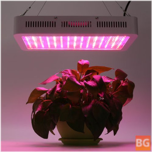 Full Spectrum Plant Growth Lamp